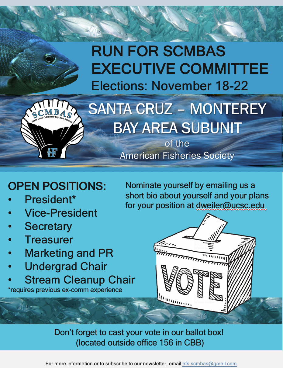 Run for Executive Committee!