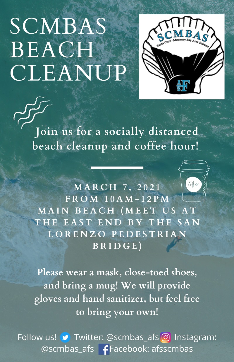 Beach Cleanup and Coffee Hour Sunday, March 7th at 10am!