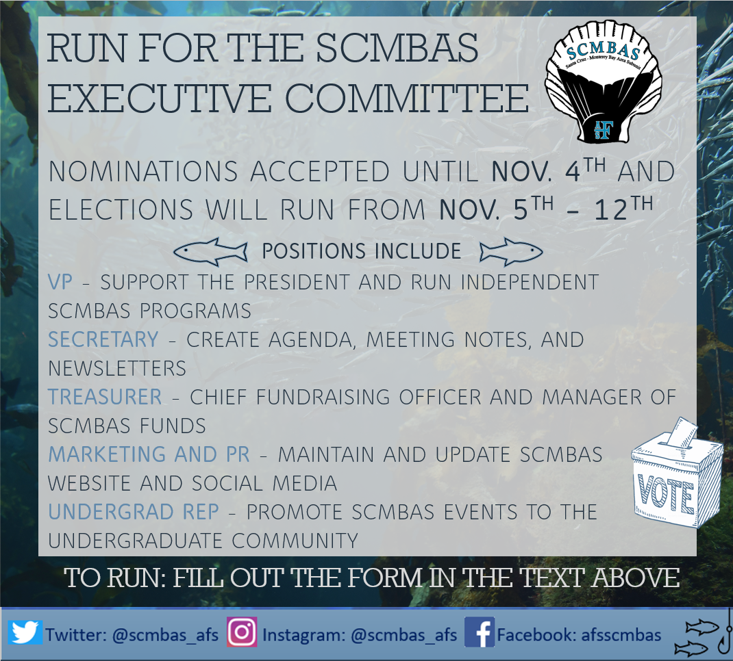 Run for a position on our executive committee!