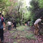 AFS SCMBAS members participating in restoration