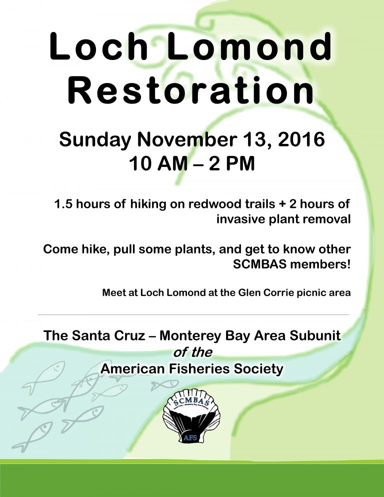 Loch Lomond Restoration flyer