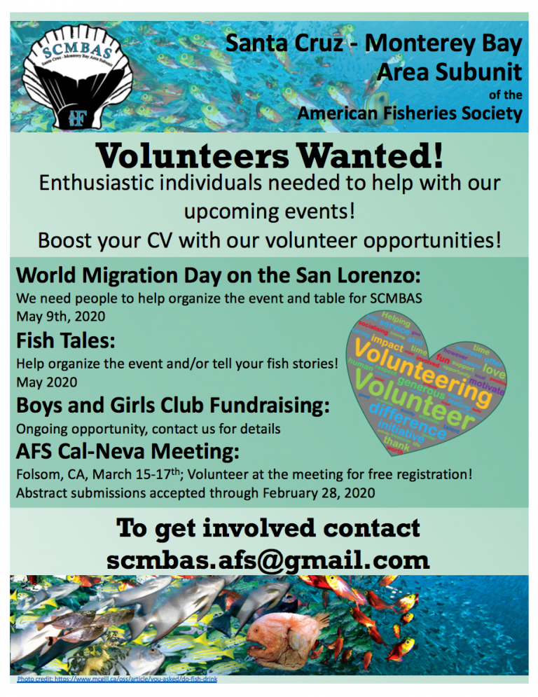 Volunteer with SCMBAS!